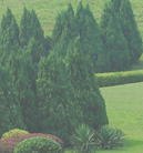 ddos攻击器安卓ios下载